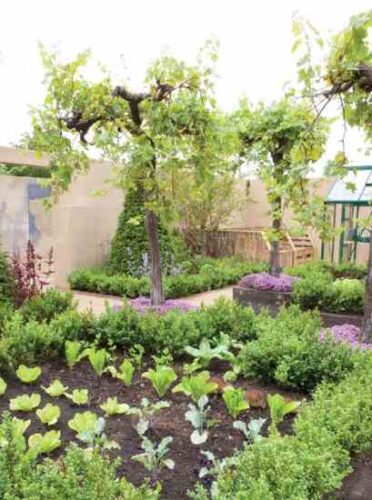 Grow Food Everywhere: Ground Covers, Fruit-Bearing Trees and More